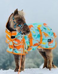 Star Point Horsemanship Blue Dinosaur 220 Hooded Waterproof Horse Blanket, Blue Dinosaur, 78 to 80-in