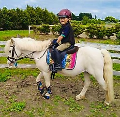 Star Point Horsemanship English/Surcingle Horse Saddle Pad, Rainbow Cheetah, Mini-Pony slide 2 of 2