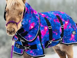 Star Point Horsemanship Galaxy 300 G Heavyweight Waterproof Hooded Horse Blanket, Galaxy, 44 to 46-in