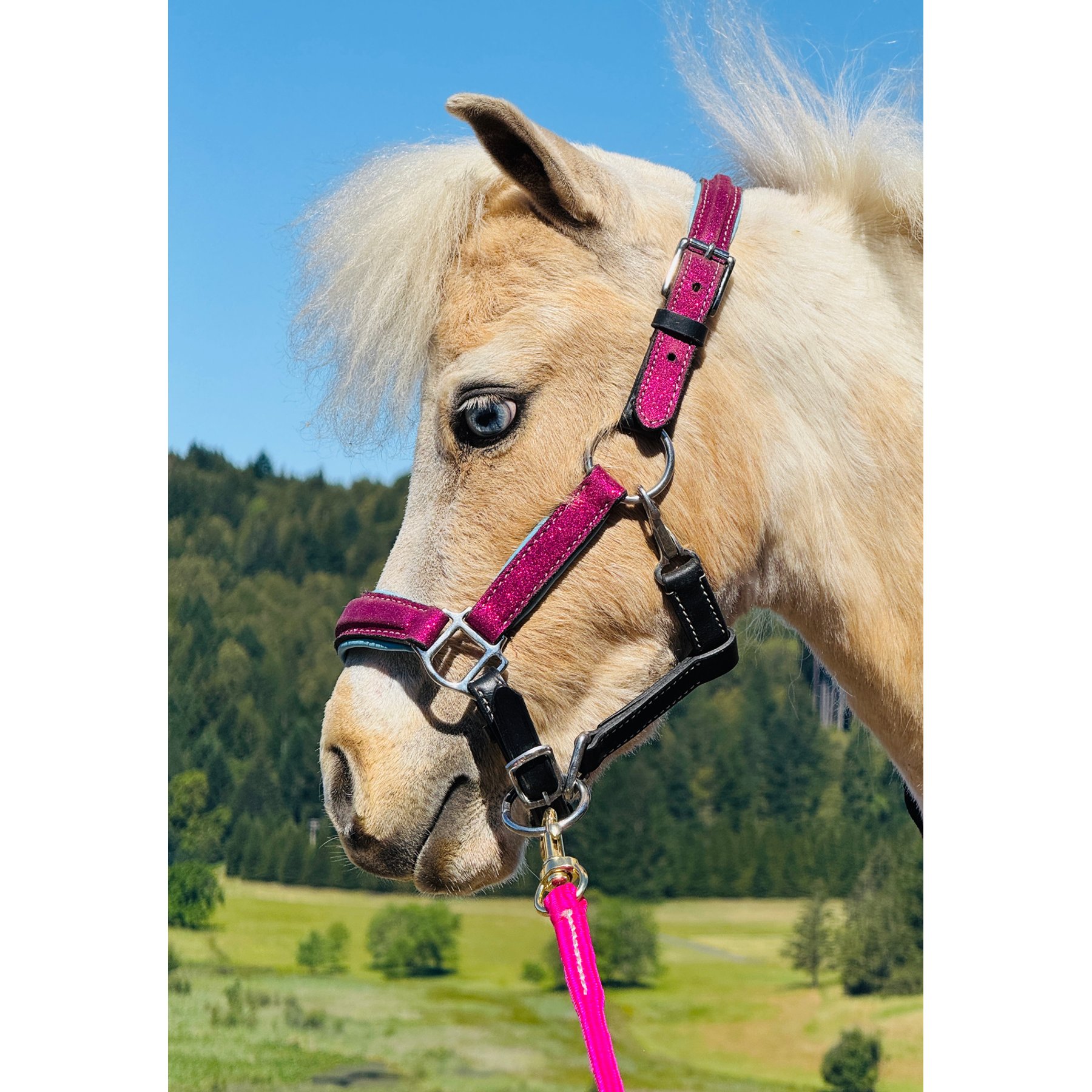 Star Point Horsemanship Glitter Leather Padded Horse Halter, Raspberry, Large Mini