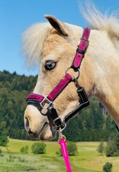 Star Point Horsemanship Glitter Leather Padded Horse Halter, Raspberry, Medium Mini