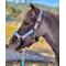 Show in main carousel: Star Point Horsemanship Holographic Leather Padded Horse Halter, Large Mini slide 1 of 1