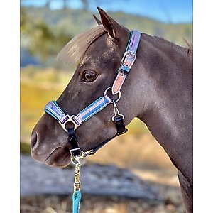 Star Point Horsemanship Holographic Leather Padded Horse Halter, Medium Mini