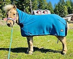 Star Point Horsemanship Hooded Fleece Horse Cooler Combo, Teal, 46 to 50-in