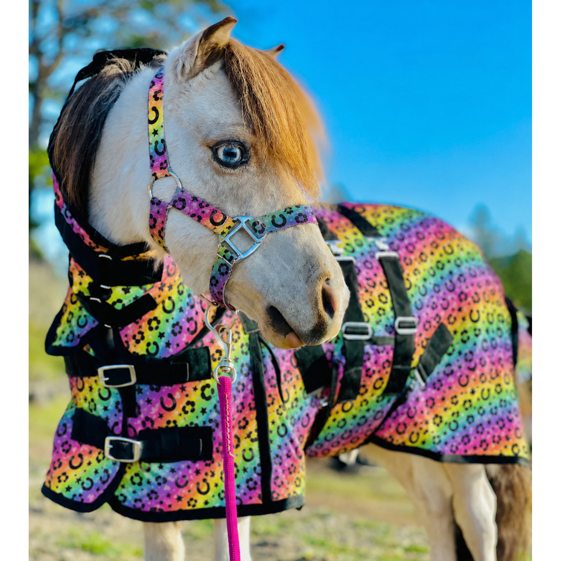 Star Point Horsemanship Hooded Printed Mesh UV Horse Fly Sheet, Rainbow Cheetah, 48 to 50-in