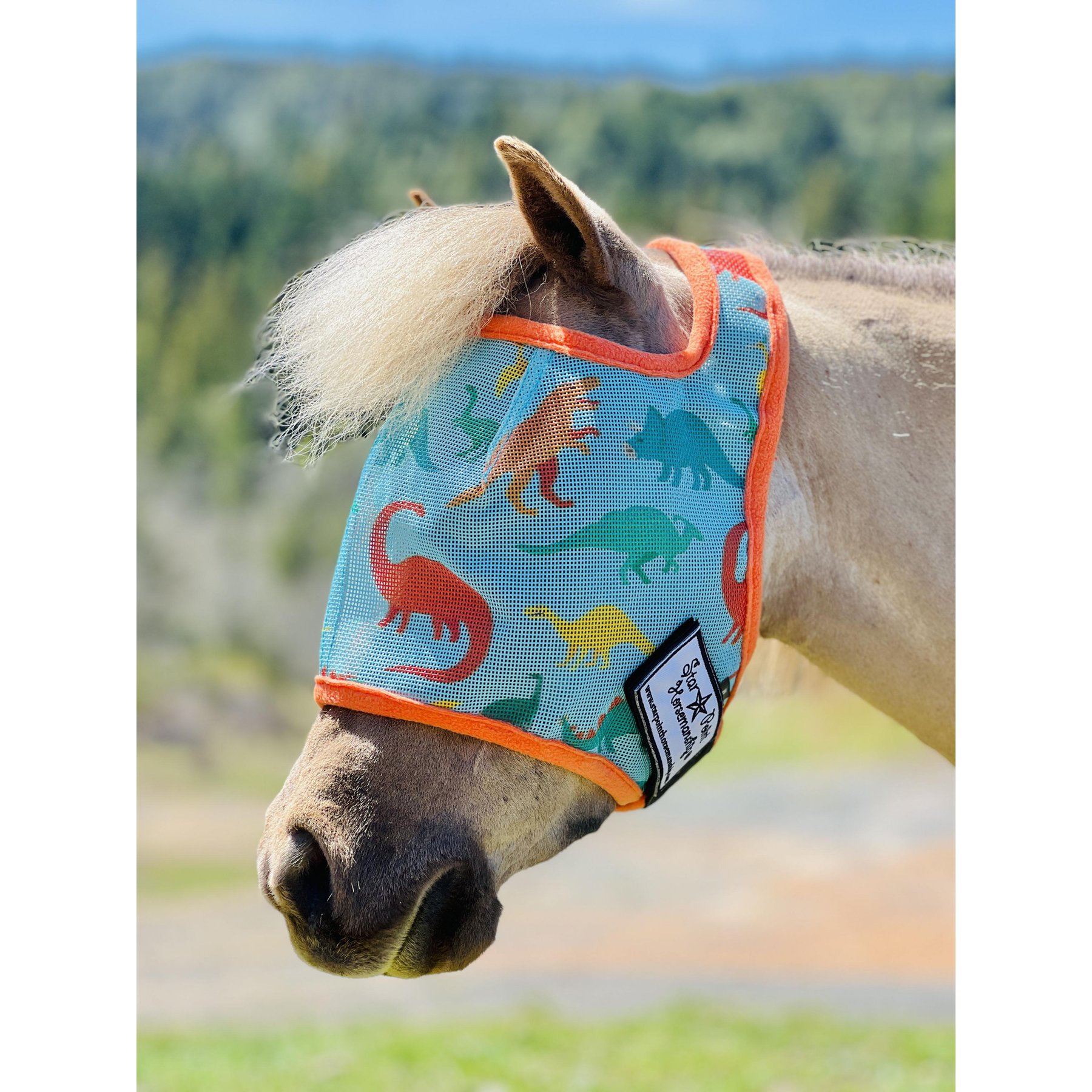Star Point Horsemanship Horse Fly Mask, Dinosaur, Mini Horse Small
