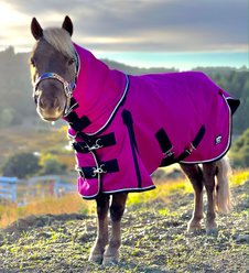 Star Point Horsemanship Mini-Pony 100 Gram Lightweight Waterproof Hooded Horse Blanket, Raspberry, 52-54-in