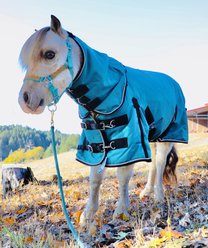 Star Point Horsemanship Mini-Pony 100 Gram Lightweight Waterproof Hooded Horse Blanket, Teal, 38-40-in