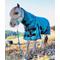 Show in main carousel: Star Point Horsemanship Mini-Pony 100 Gram Lightweight Waterproof Hooded Horse Blanket, Teal, 38-40-in slide 1 of 1