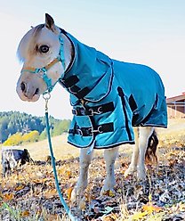 Star Point Horsemanship Mini-Pony 100 Gram Lightweight Waterproof Hooded Horse Blanket, Teal, 50-52-in