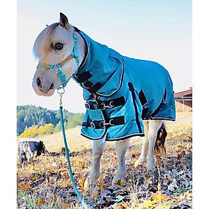 Star Point Horsemanship Mini-Pony 100 Gram Lightweight Waterproof Hooded Horse Blanket, Teal, 50-52-in