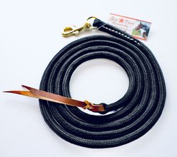 Star Point Horsemanship Mini-Pony 14-ft Horse Longe Line, Black