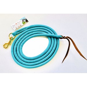 Star Point Horsemanship Mini-Pony 14-ft Horse Longe Line, Teal