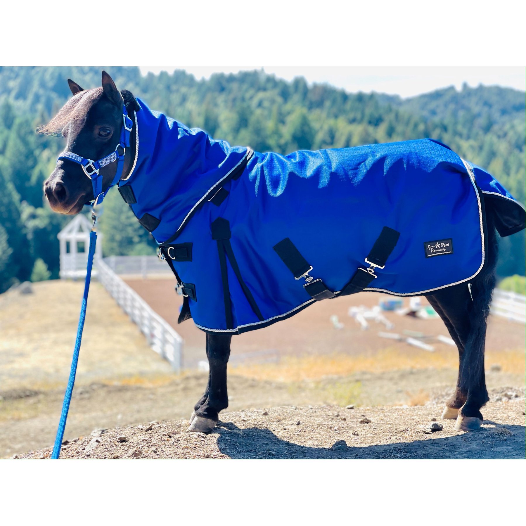 Star Point Horsemanship Mini-Pony 220 Midweight Waterproof Hooded Blanket, Royal Blue, 46-48-in