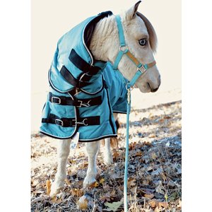 Star Point Horsemanship Mini-Pony 220 Midweight Waterproof Hooded Blanket, Teal, 52-54-in