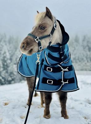 Show full view: Star Point Horsemanship Mini-Pony 220 Midweight Waterproof Hooded Blanket, Teal, 52-54-in slide 2 of 4
