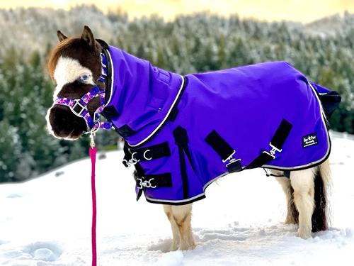 Show full view: Star Point Horsemanship Mini-Pony 350 Gram Heavyweight Waterproof Hooded Horse Blanket, Purple, 40-42-in slide 1 of 1