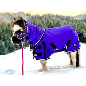 Star Point Horsemanship Mini-Pony 350 Gram Heavyweight Waterproof Hooded Horse Blanket, Purple, 46-48-in