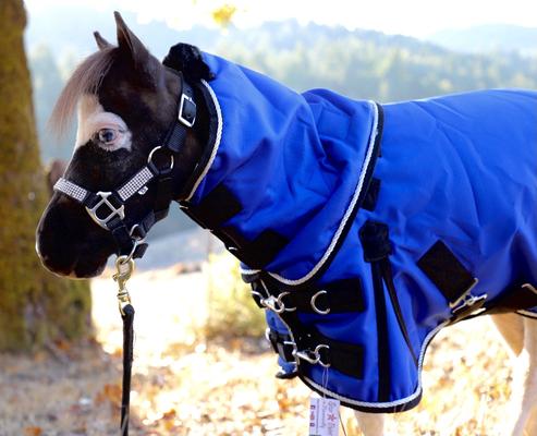 Show full view: Star Point Horsemanship Mini-Pony 350 Heavyweight Hooded Blanket, Royal Blue, 44-46-in slide 3 of 4