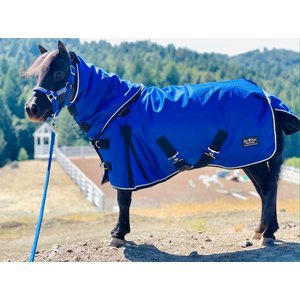 Star Point Horsemanship Mini-Pony 350 Heavyweight Hooded Blanket, Royal Blue, 46-48-in