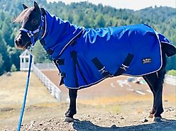 Star Point Horsemanship Mini-Pony 350 Heavyweight Hooded Blanket, Royal Blue, 48-50-in slide 2 of 3