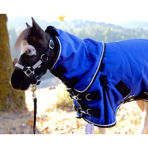 Star Point Horsemanship Mini-Pony 350 Heavyweight Hooded Blanket, Royal Blue, 48-50-in