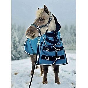 Star Point Horsemanship Mini-Pony 350 Heavyweight Hooded Blanket, Teal, 40-42-in