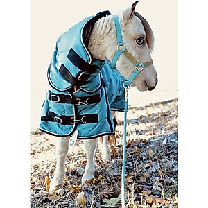 Star Point Horsemanship Mini-Pony 350 Heavyweight Hooded Blanket, Teal, 42-44-in