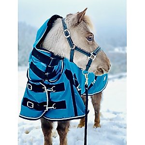 Star Point Horsemanship Mini-Pony 350 Heavyweight Hooded Blanket, Teal, 42-44-in