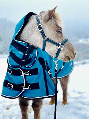 Show full view: Star Point Horsemanship Mini-Pony 350 Heavyweight Hooded Blanket, Teal, 44-46-in slide 3 of 4