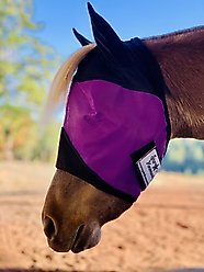 Star Point Horsemanship Mini-Pony Ear Cover Fly Mask, Purple, Medium/Mini