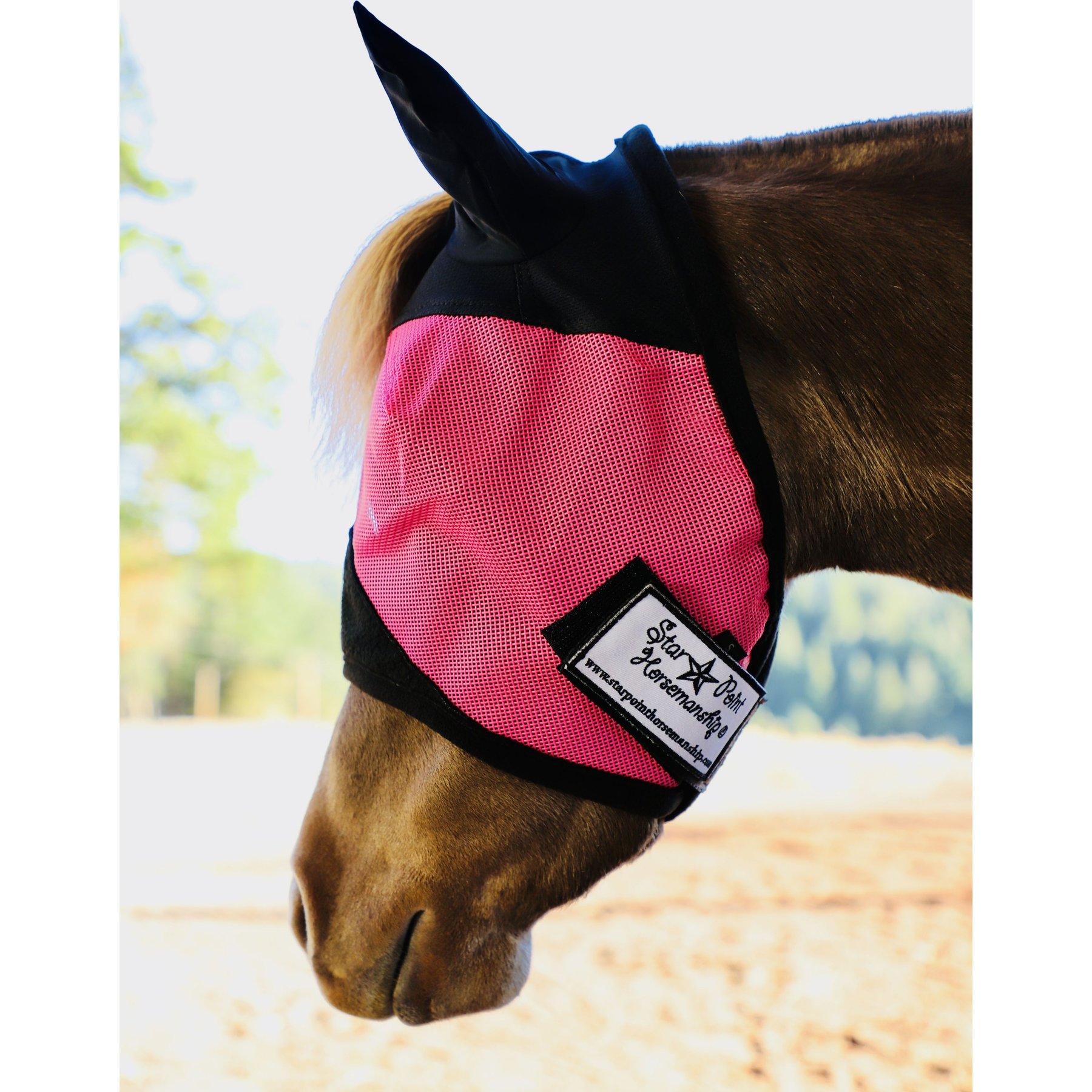 Star Point Horsemanship Mini-Pony Ear Cover Fly Mask, Raspberry, Medium/Mini