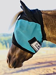 Star Point Horsemanship Mini-Pony Ear Cover Fly Mask, Teal, Small/Mini