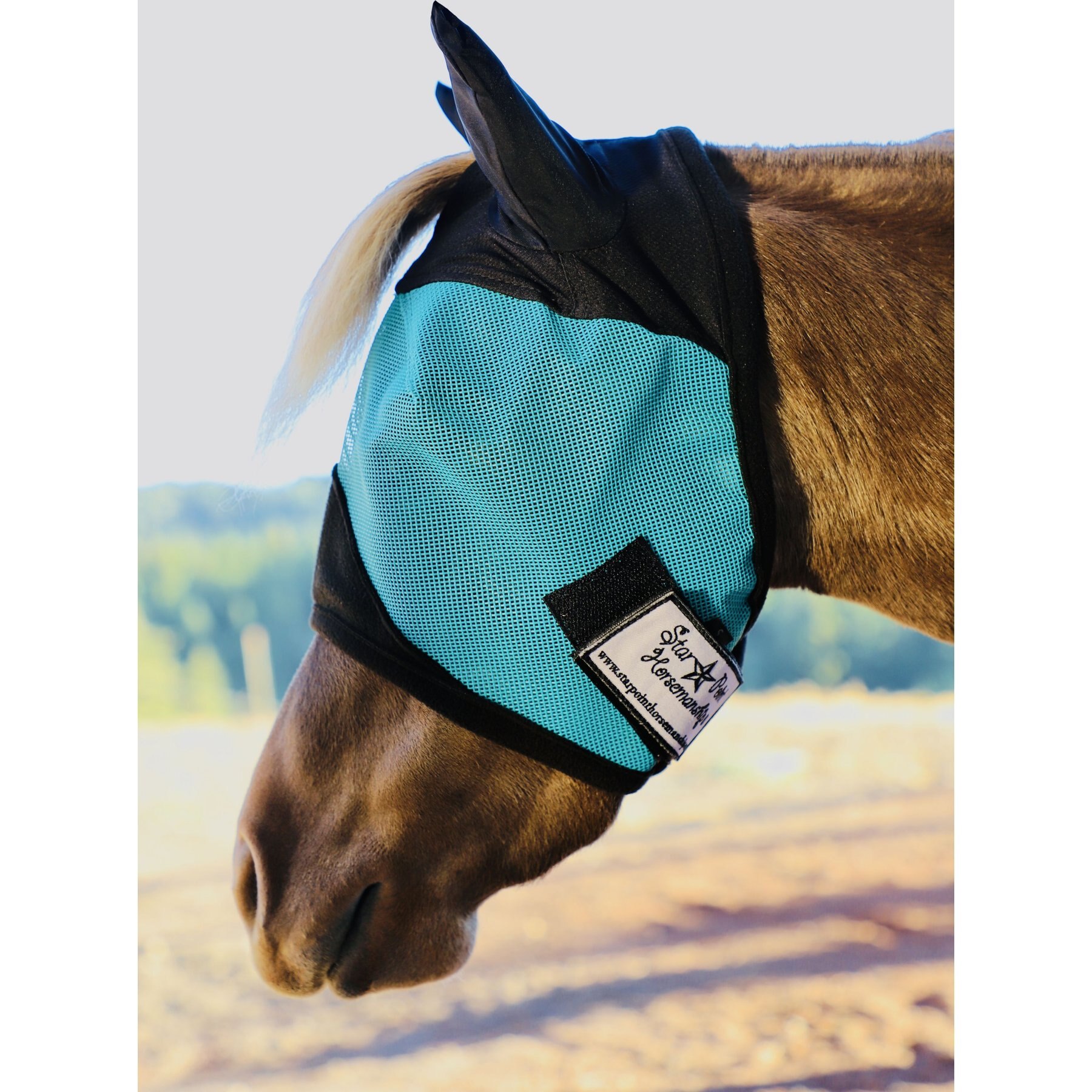 Star Point Horsemanship Mini-Pony Ear Cover Fly Mask, Teal, Small/Mini