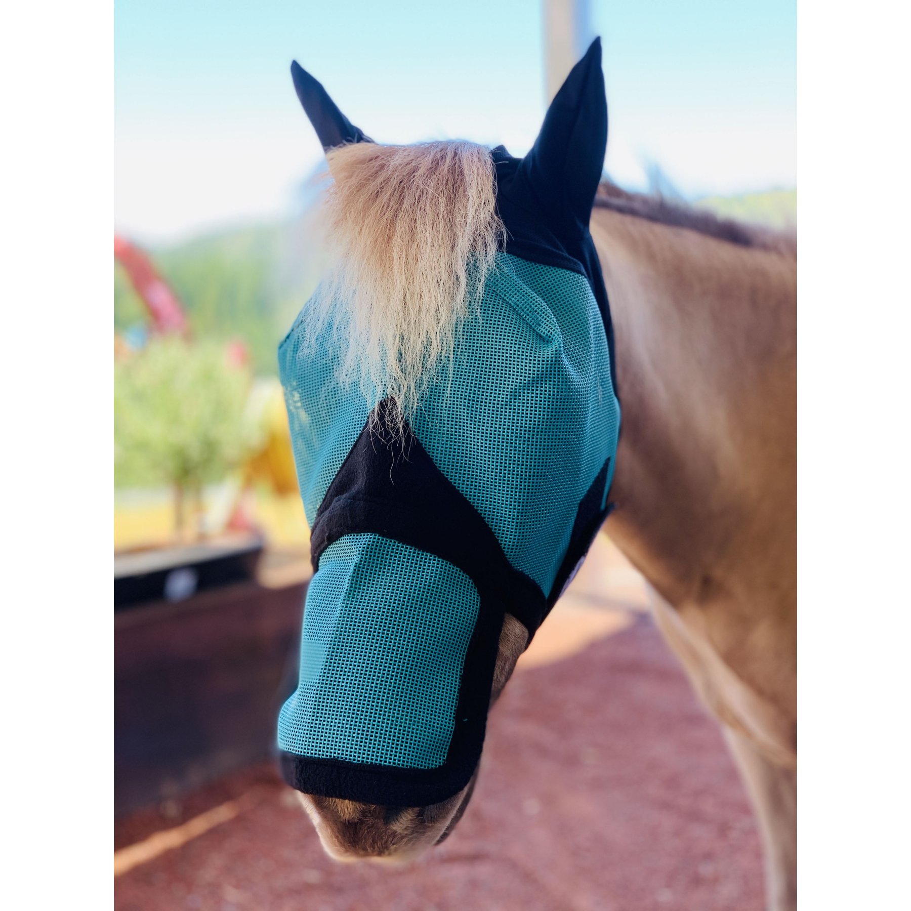 Star Point Horsemanship Mini-Pony Ear-Nose Cover Horse Fly Mask, Medium Mini