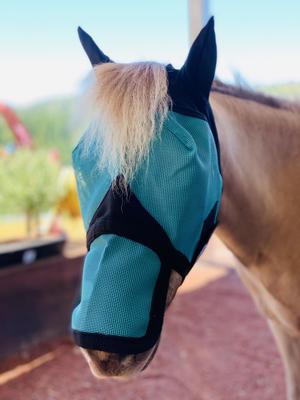 Show full view: Star Point Horsemanship Mini-Pony Ear-Nose Cover Horse Fly Mask, Small Mini slide 1 of 1