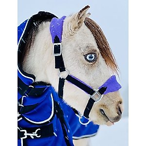 Star Point Horsemanship Mini-Pony Fleece Horse Halter, Purple, Large Mini