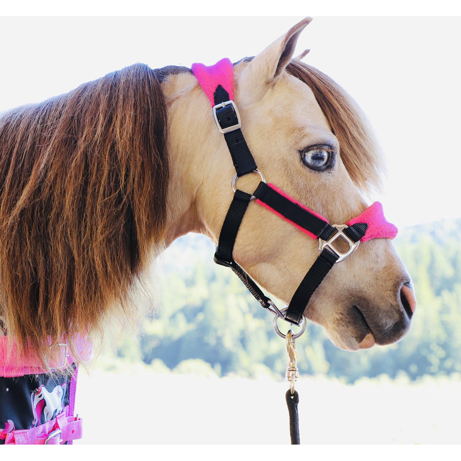 Star Point Horsemanship Mini-Pony Fleece Horse Halter, Raspberry, Large Mini