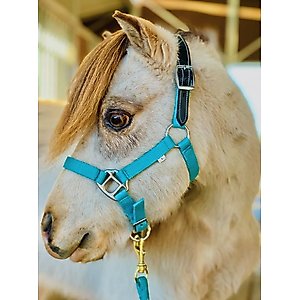 Star Point Horsemanship Mini-Pony Leather Crown Breakaway Stable Horse Halter
