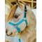 Show in main carousel: Star Point Horsemanship Mini-Pony Leather Crown Breakaway Stable Horse Halter slide 1 of 1
