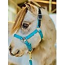 Star Point Horsemanship Mini-Pony Leather Crown Breakaway Stable Horse Halter