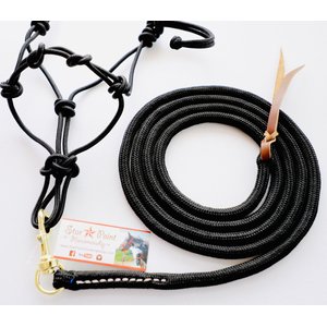 Star Point Horsemanship Mini-Pony-Livestock 4 Knot Rope Halter & 8-ft Lead Set, Black, Medium
