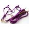 Show in main carousel: Star Point Horsemanship Mini-Pony-Livestock 4 Knot Rope Halter & 8-ft Lead Set, Purple, Medium slide 1 of 4