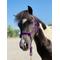 Show in main carousel: Star Point Horsemanship Mini-Pony-Livestock 4 Knot Rope Halter & 8-ft Lead Set, Purple, Medium slide 2 of 4