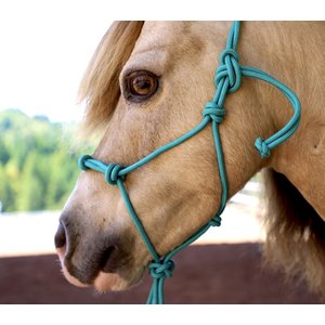 Star Point Horsemanship Mini-Pony-Livestock 4 Knot Rope Halter & 8-ft Lead Set, Teal, Medium