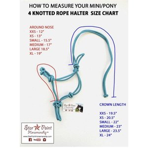 Star Point Horsemanship Mini-Pony-Livestock 4 Knot Rope Halter & 8-ft Lead Set, Teal, Medium