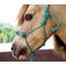 Show in main carousel: Star Point Horsemanship Mini-Pony-Livestock 4 Knot Rope Halter & 8-ft Lead Set, Teal, Small slide 2 of 5