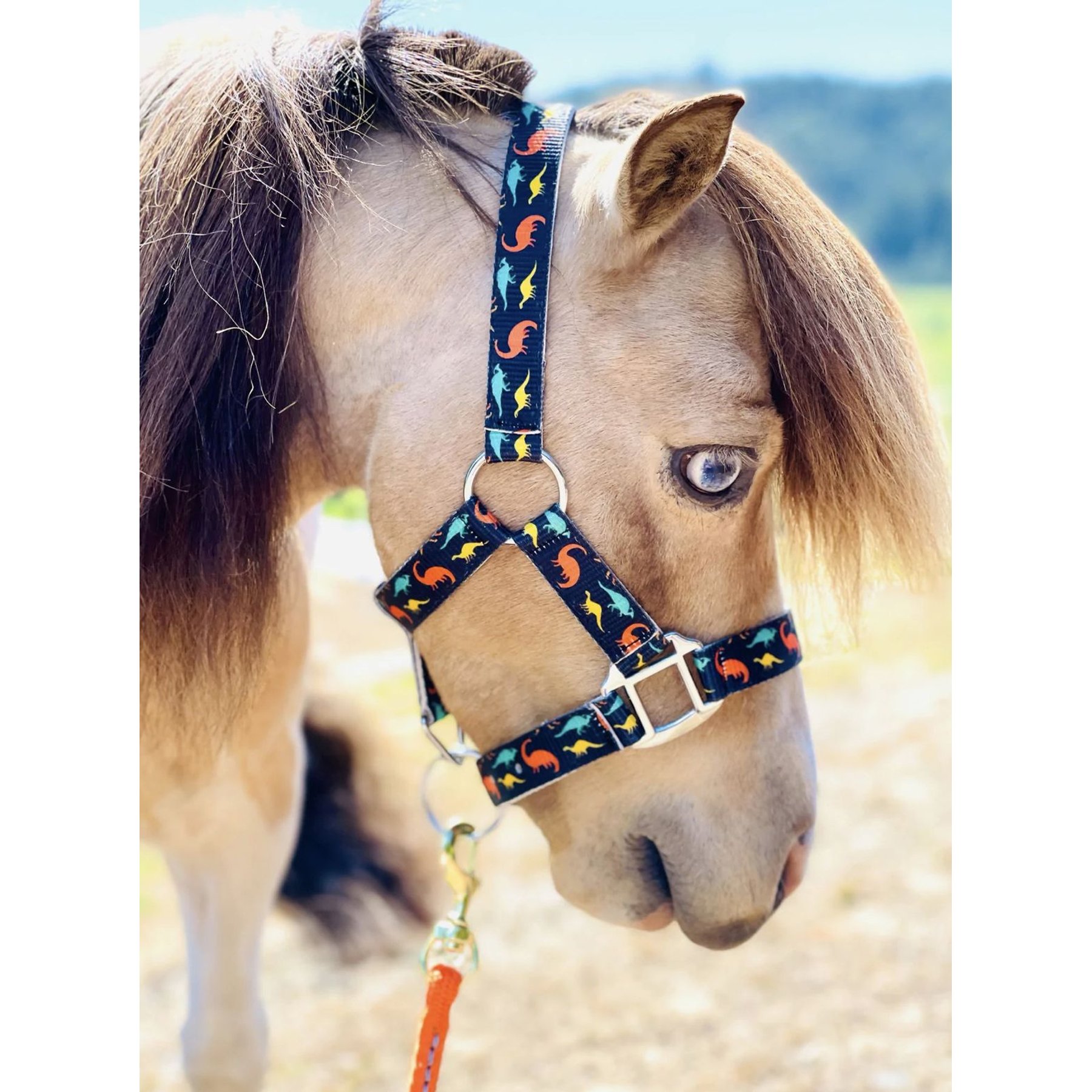 Star Point Horsemanship Mini-Pony-Livestock Printed Halter, Dinosaurs, Small