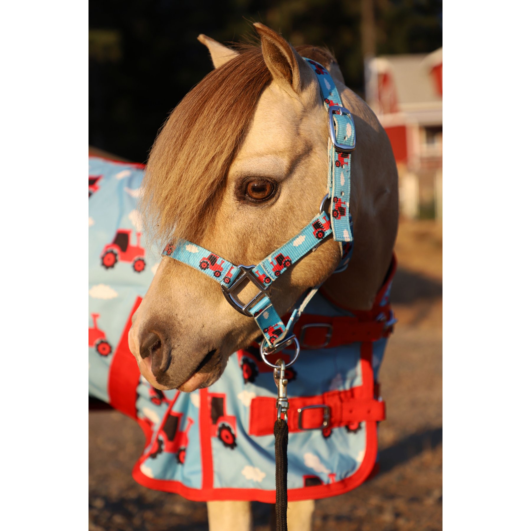 Star Point Horsemanship Mini-Pony-Livestock Printed Halter, Tractors, Large