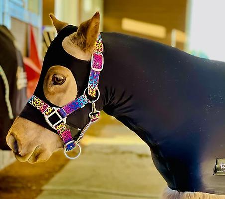 Show full view: Star Point Horsemanship Mini-Pony Lycra Body Suits, Black, Large: 37 to 40-in Pony slide 2 of 2